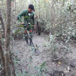 Searching for the metal pin inserted into ground to locate plot center using metal detector in the Sundarbans