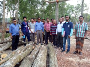 Data Collection for Allometric equation development in Tangail